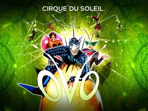 CIRCO DEL SOL: OVO